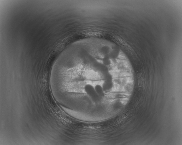 X0000081590737200702121513