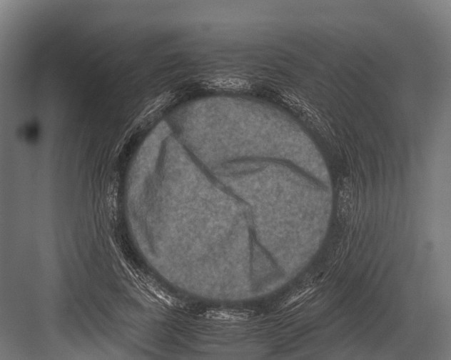 X0000081590739200702121513