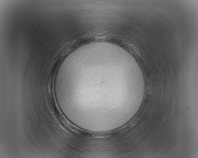 X0000081590740200702121513