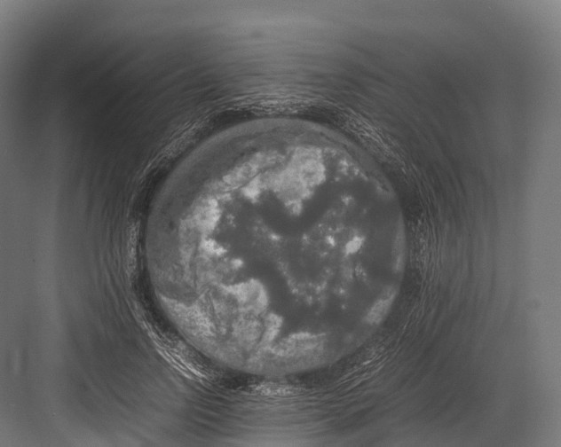 X0000081590742200702121513