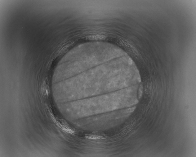 X0000081590743200702121513