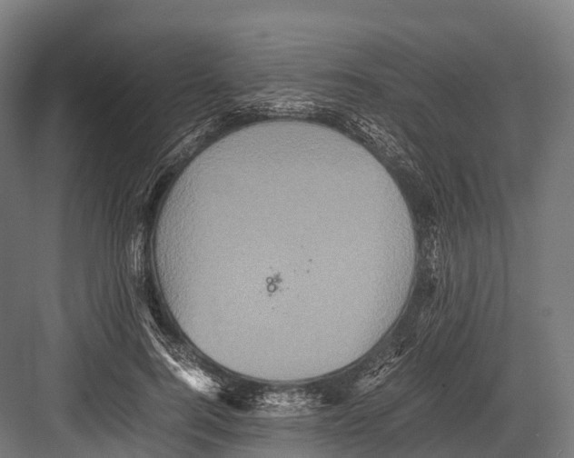 X0000081590744200702121513