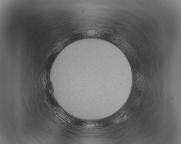 X0000081590746200702121513