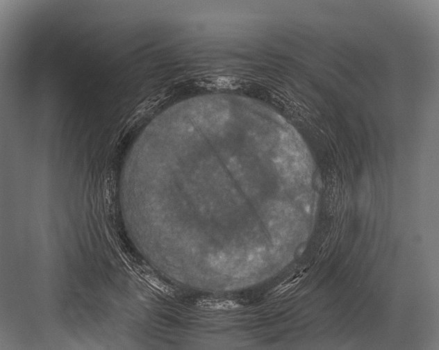 X0000081590747200702121513