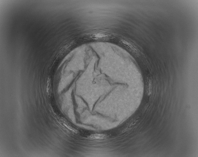 X0000081590748200702121513