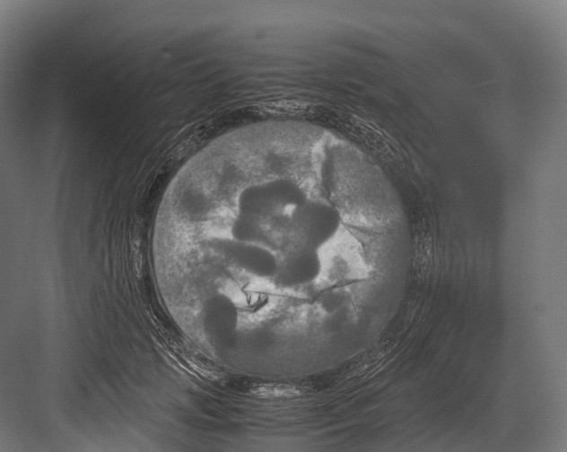 X0000081590749200702121513