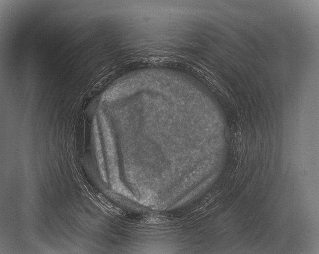 X0000081590750200702121514