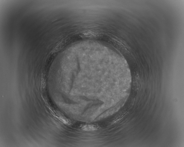 X0000081590751200702121514