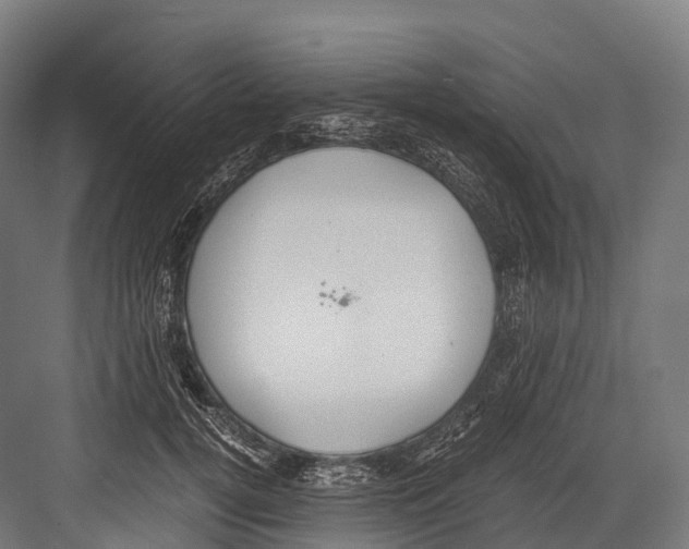 X0000081590752200702121514