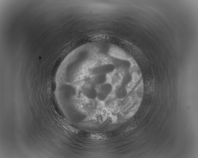 X0000081590753200702121514