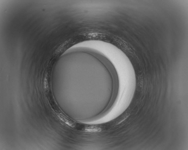 X0000081590754200702121514