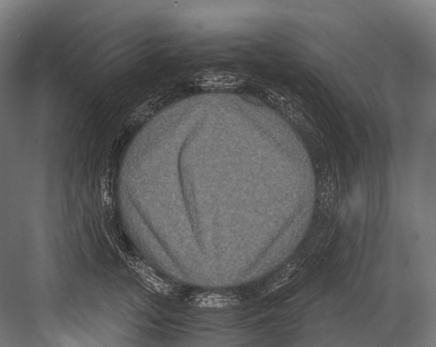 X0000081590755200702121514