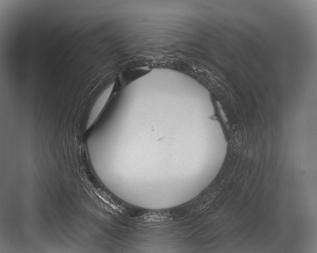 X0000081590756200702121514