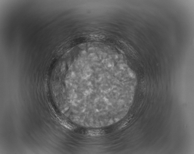 X0000081590757200702121514