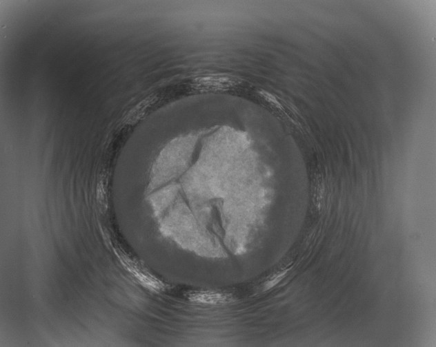 X0000081590759200702121514