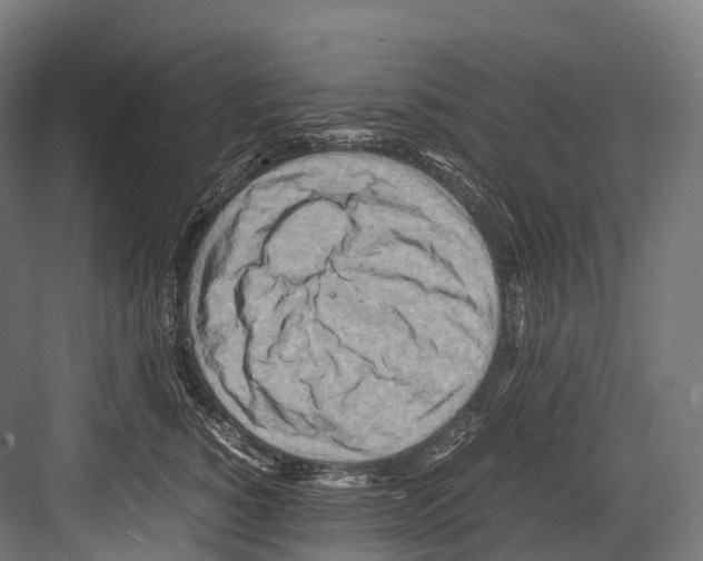 X0000081590760200702121514