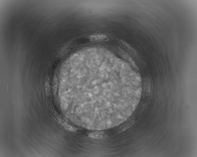 X0000081590761200702121514