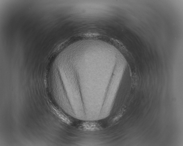 X0000081590762200702121514