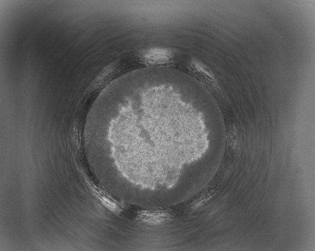 X0000081590763200702121514