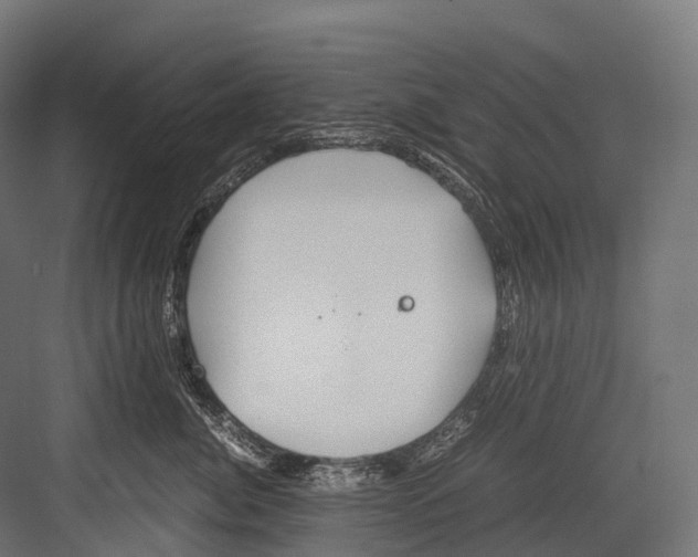 X0000081590764200702121514