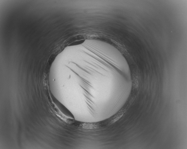 X0000081590766200702121514