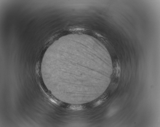 X0000081590767200702121514