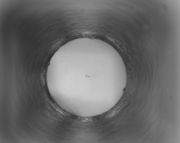 X0000081590768200702121514