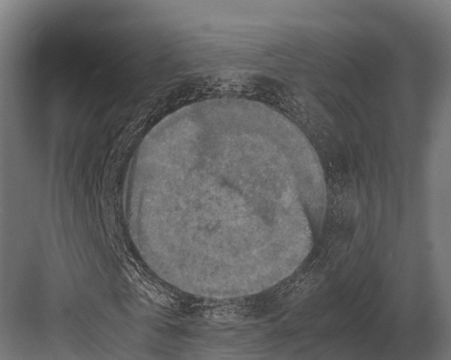 X0000081590769200702121513