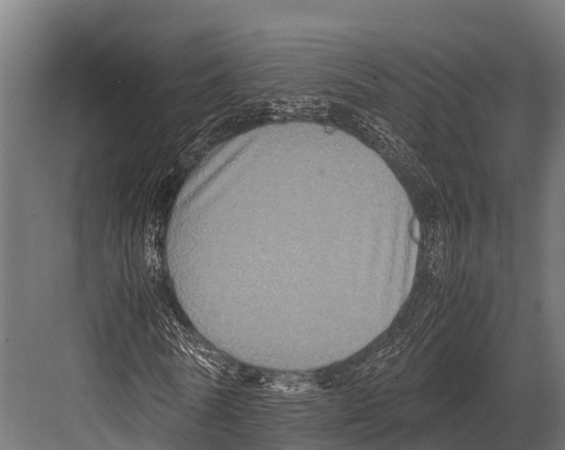 X0000081590770200702121513