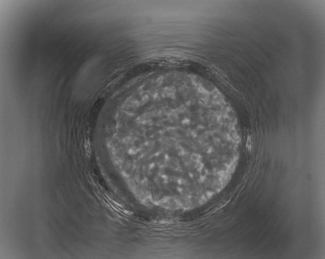 X0000081590771200702121513