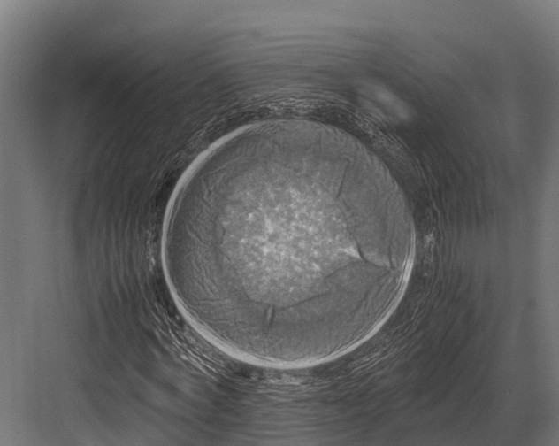 X0000081590772200702121513