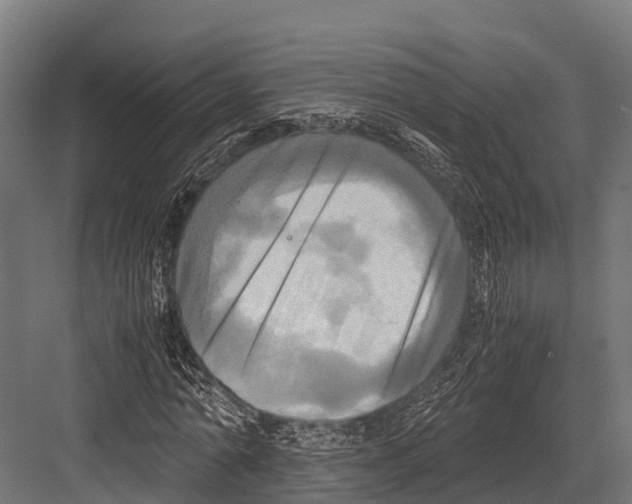 X0000081590774200702121513