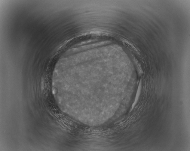 X0000081590776200702121513