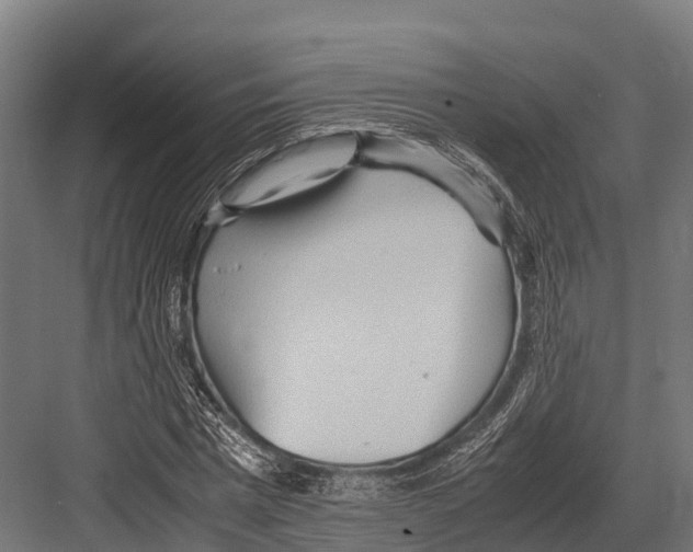 X0000081590777200702121513