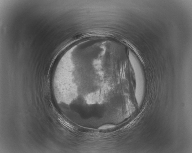 X0000081590779200702121513