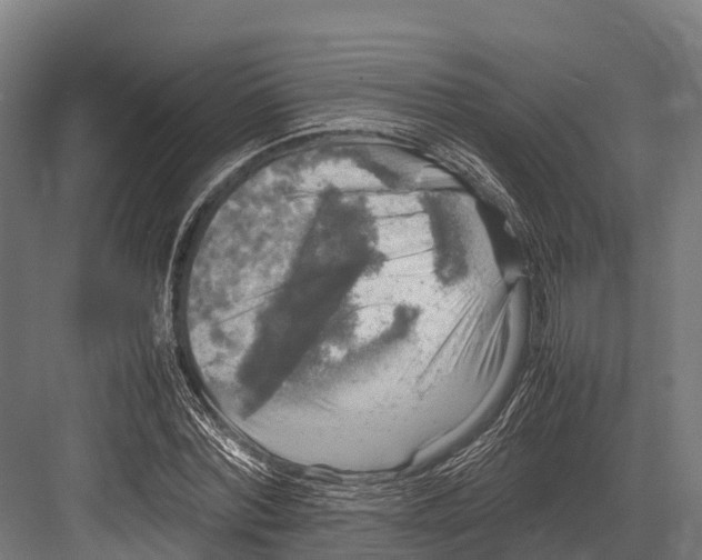 X0000081590780200702121513