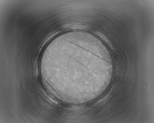 X0000081590782200702121513