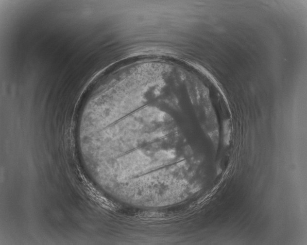 X0000081590783200702121513