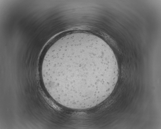 X0000081590784200702121513