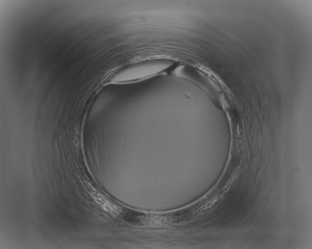 X0000081590785200702121513