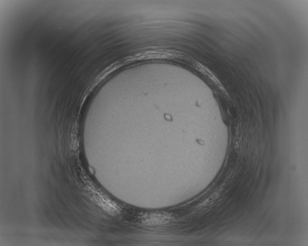 X0000081590786200702121513