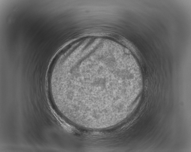 X0000081590787200702121513