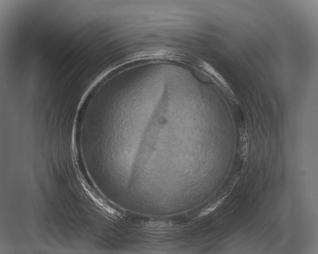 X0000081590788200702121513