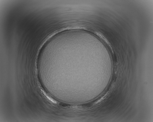 X0000081590789200702121513