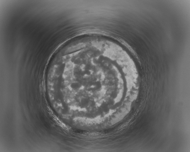 X0000081590791200702121513