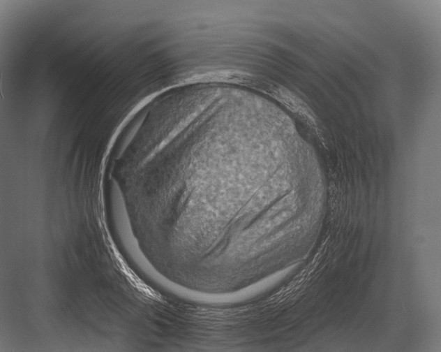 X0000081590792200702121513