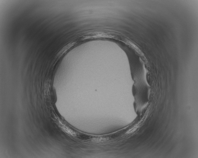 X0000081590793200702121513