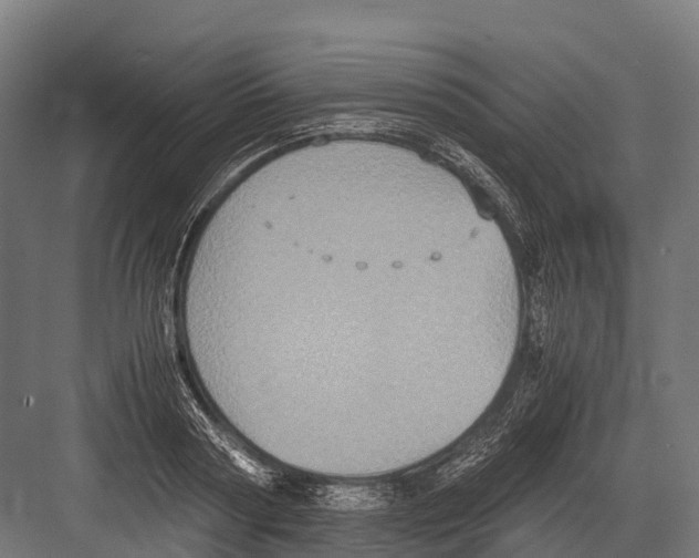 X0000081590794200702121513