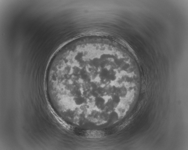 X0000081590795200702121513