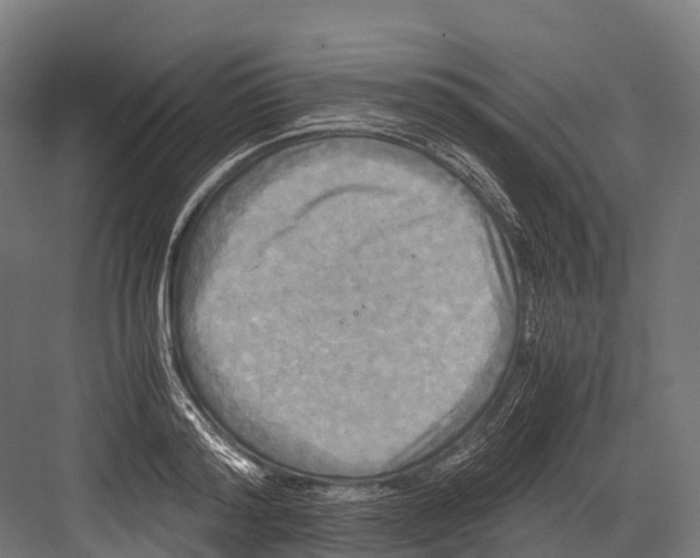 X0000081590796200702121513